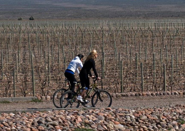 Bike & Vinho