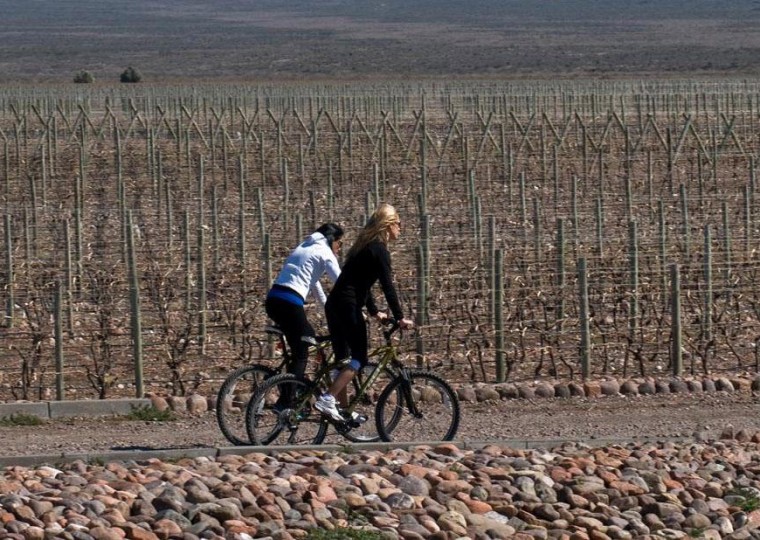 Bike & Vinhos