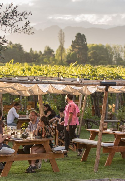 Mendoza Essencial & Gourmet: City Tour Privativo com Almoço ou Jantar em Vinícola