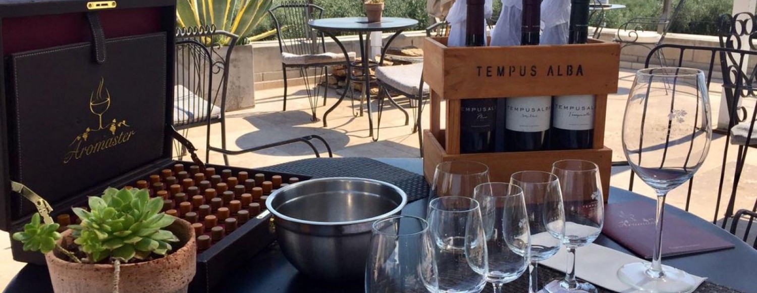 Enólogo por um día