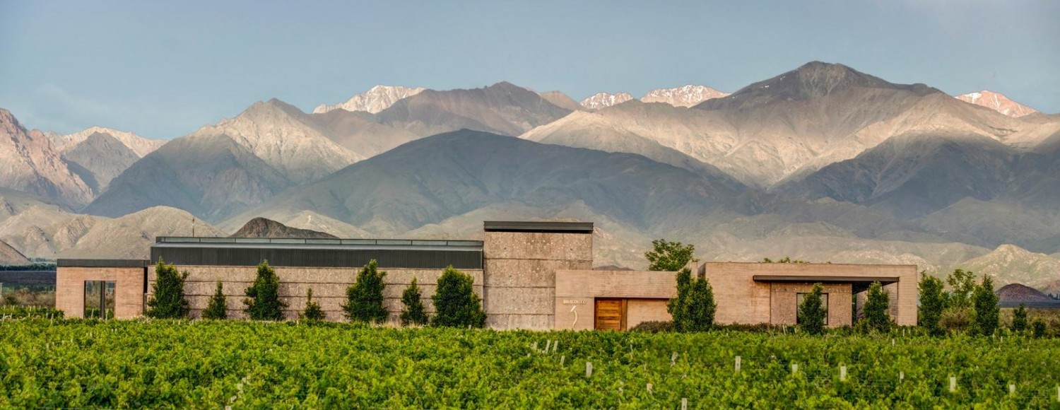 Experiência The Vines