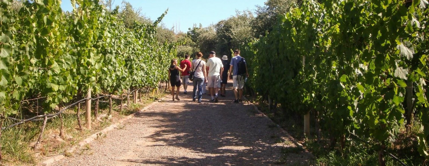 Maipú & Luján: legado familiar