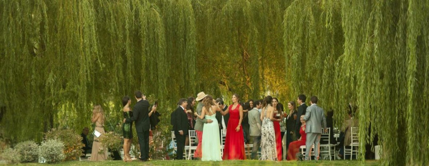 Boda na vinícola Renacer