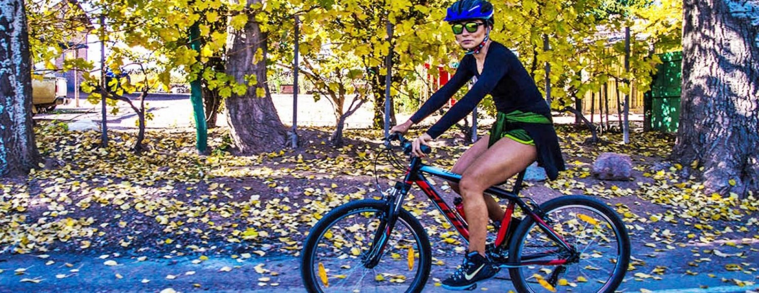 Bike e Vinho Luján de Cuyo
