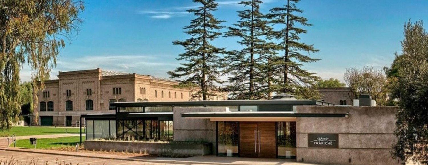 City Tour e Vinícola