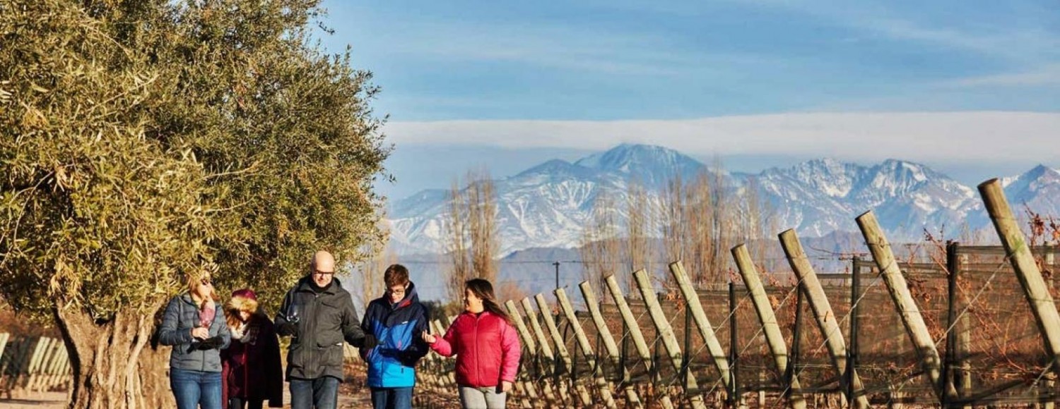 Brincando em Familia