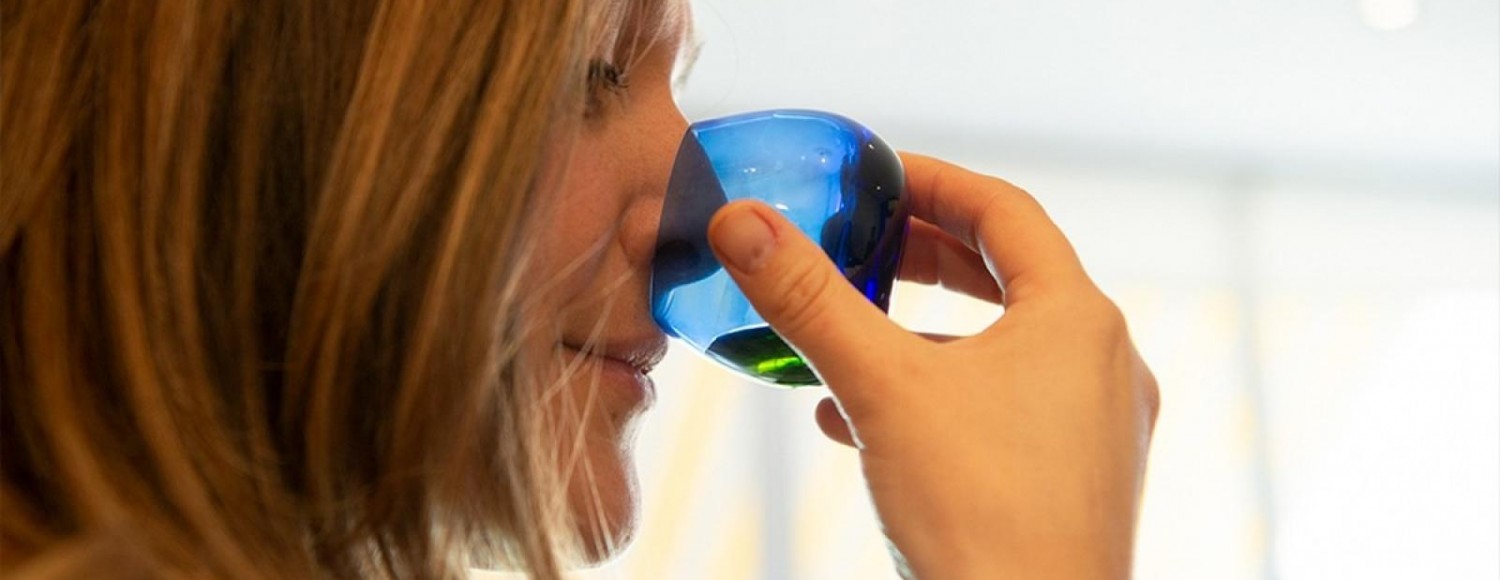 Experiência Mendoza Gourmet