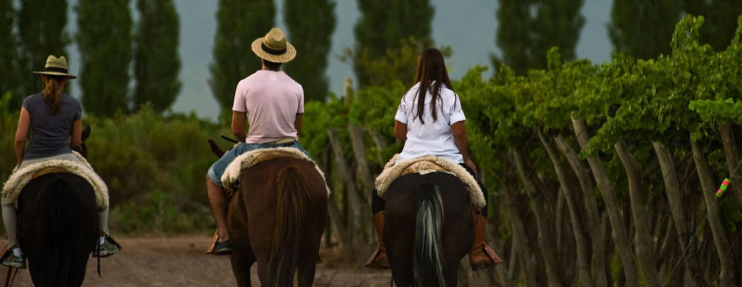 Cavalgada Pôr-do-Sol