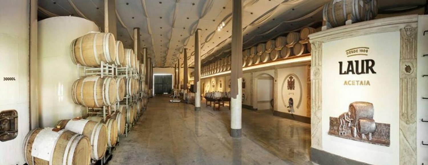 Azeite, Queijo & Vinhos