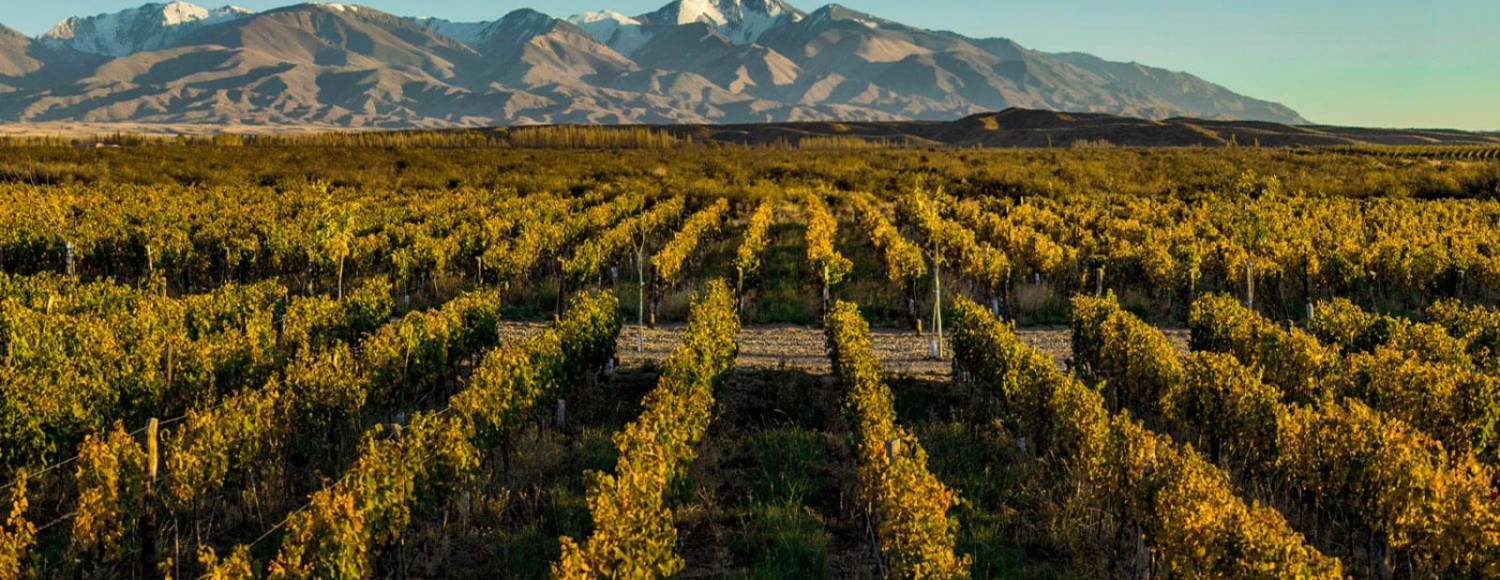 Estância Família Rosso