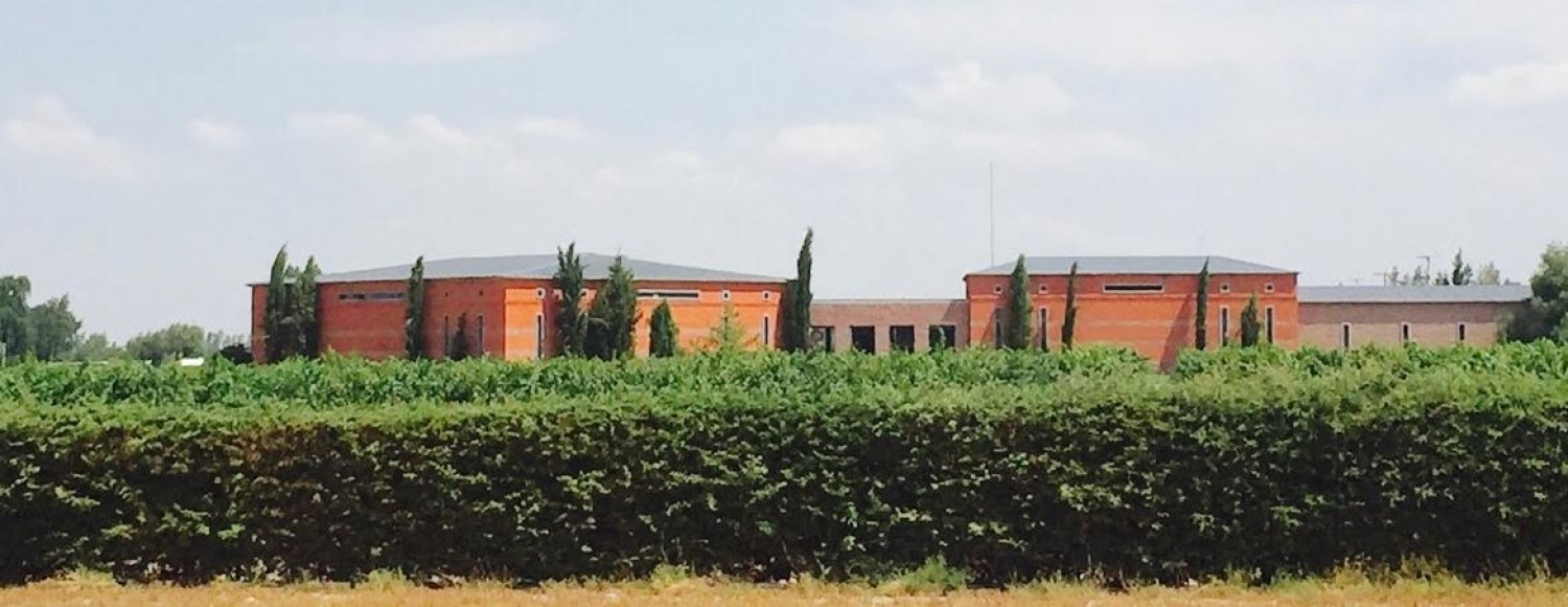 Chandon, Ruca Malén + Olivícola