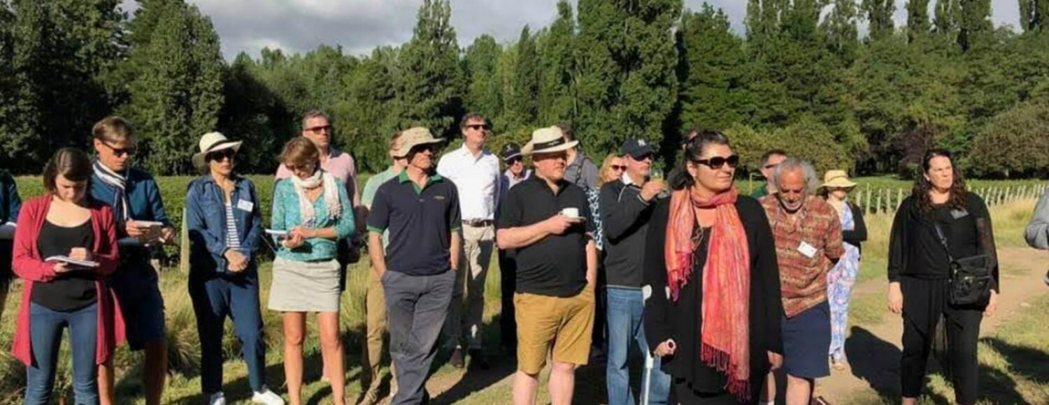 Do vinhedo à garrafa