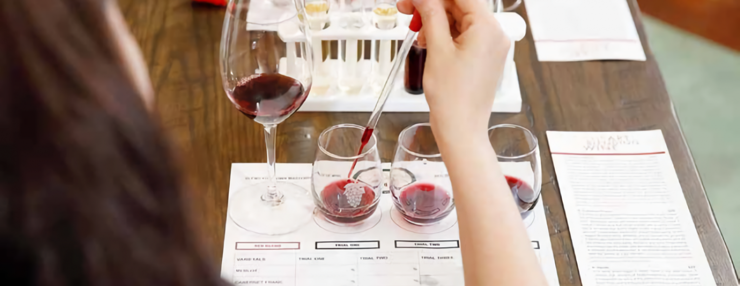 Do vinhedo à garrafa