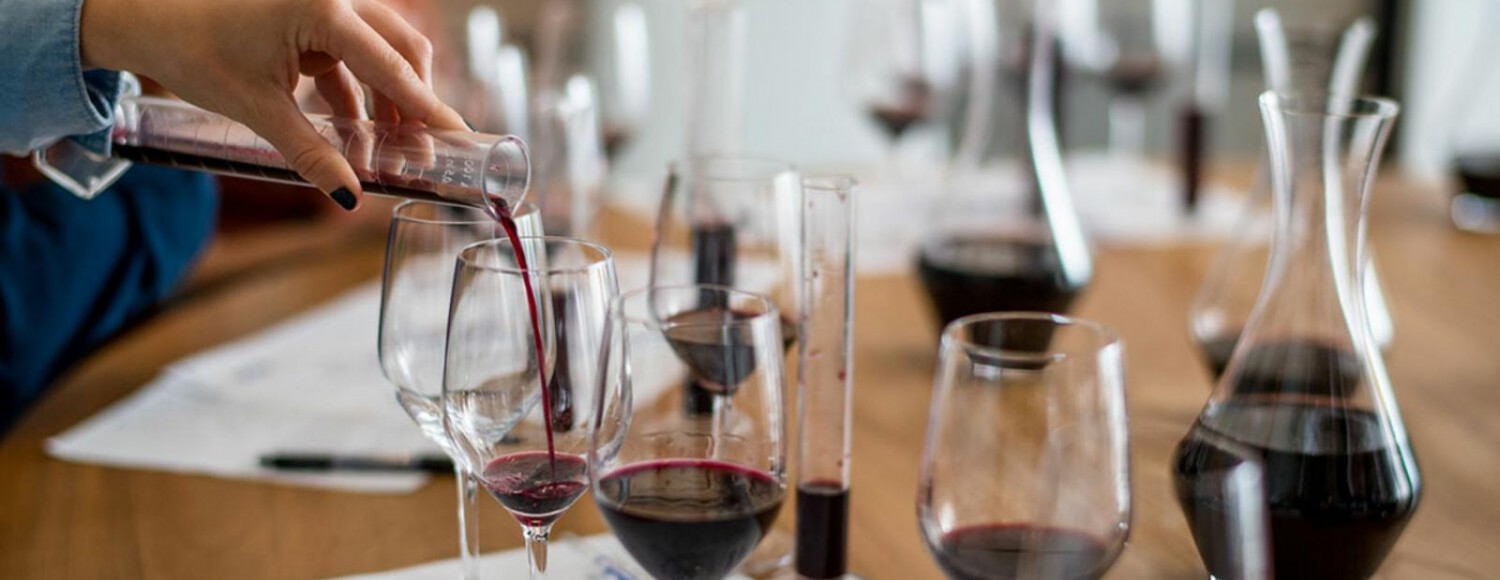 Do vinhedo à garrafa