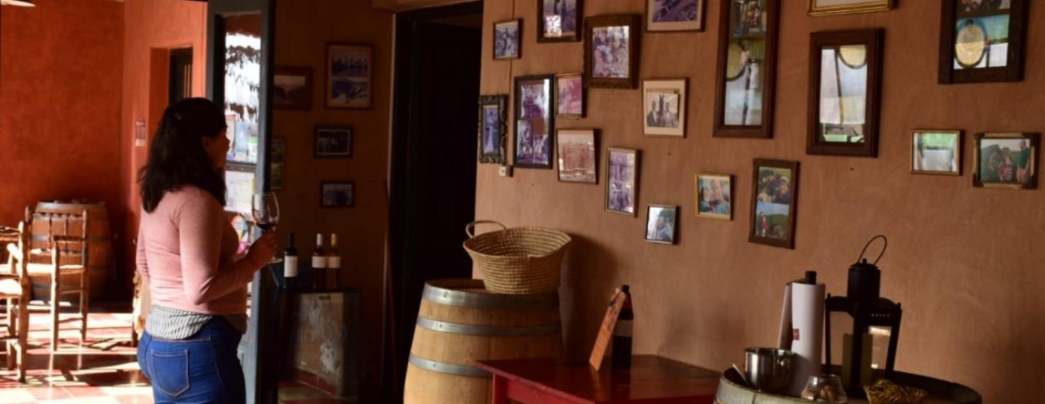 Brincando em Familia