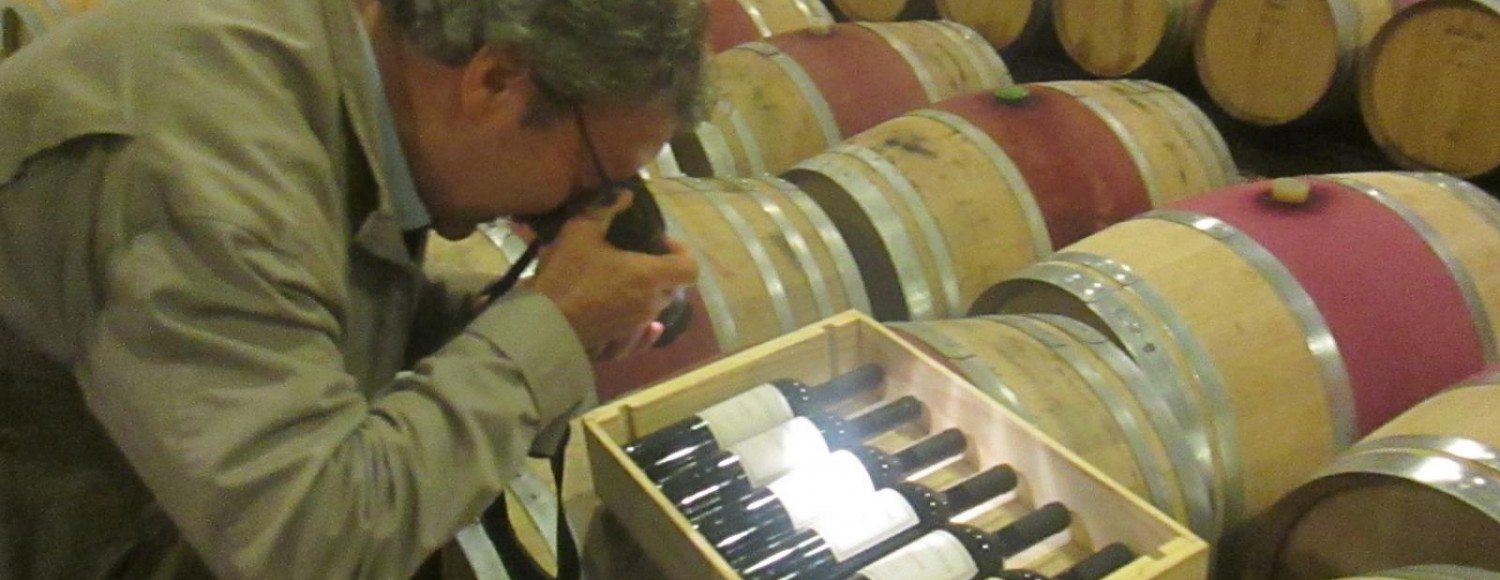 Mendoza para Enófilos