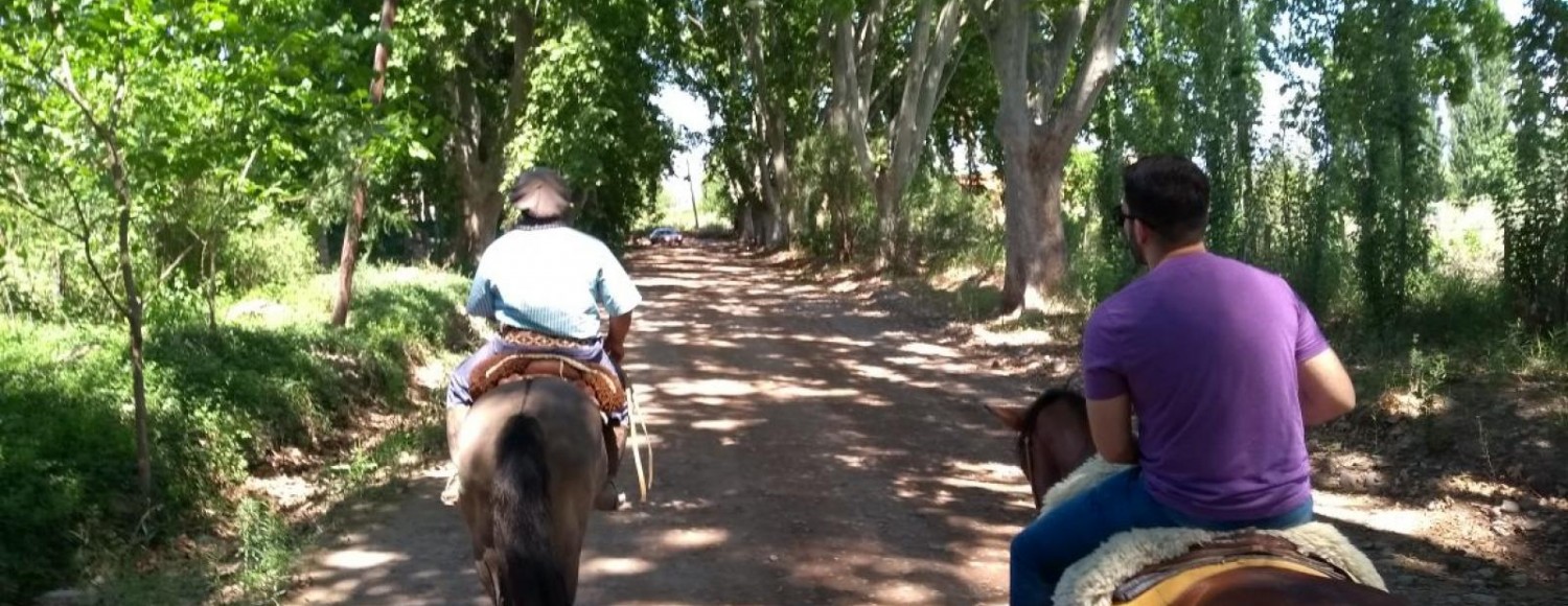 Cavalgando por Vinícolas