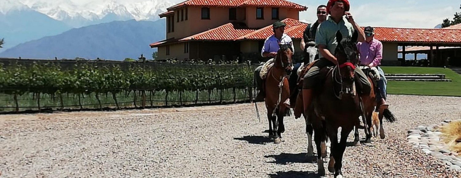 Cavalgando por Vinícolas