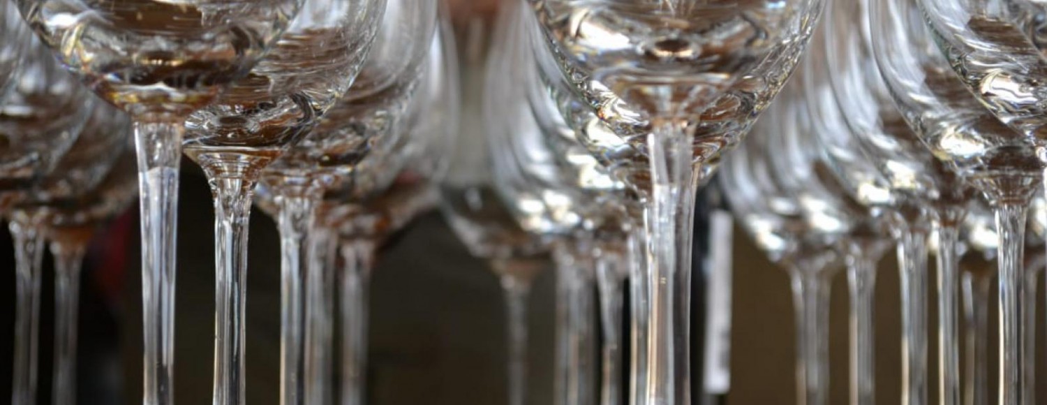 Cavalgando por Vinícolas