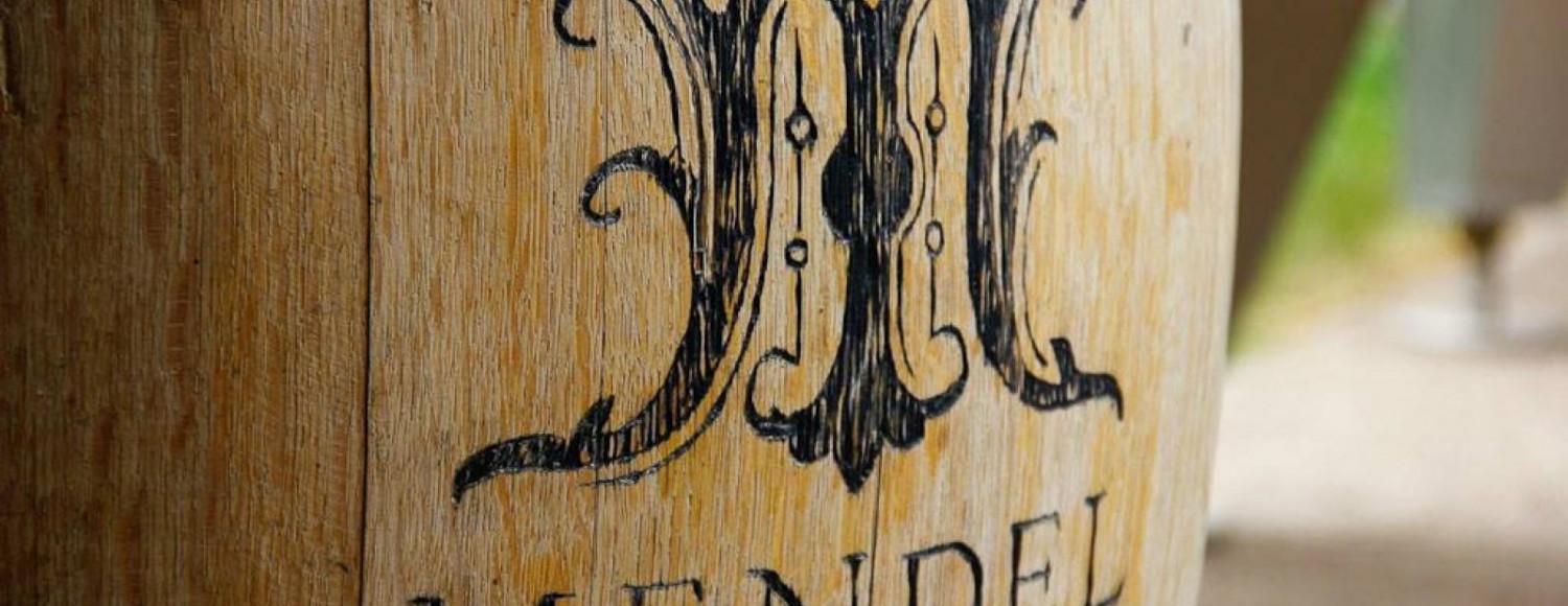 Cavalgando por Vinícolas