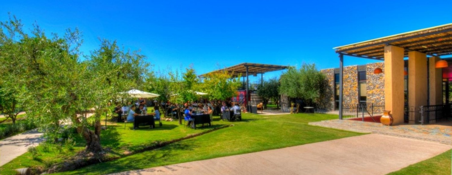 Mendoza Paisagens e Vinhos