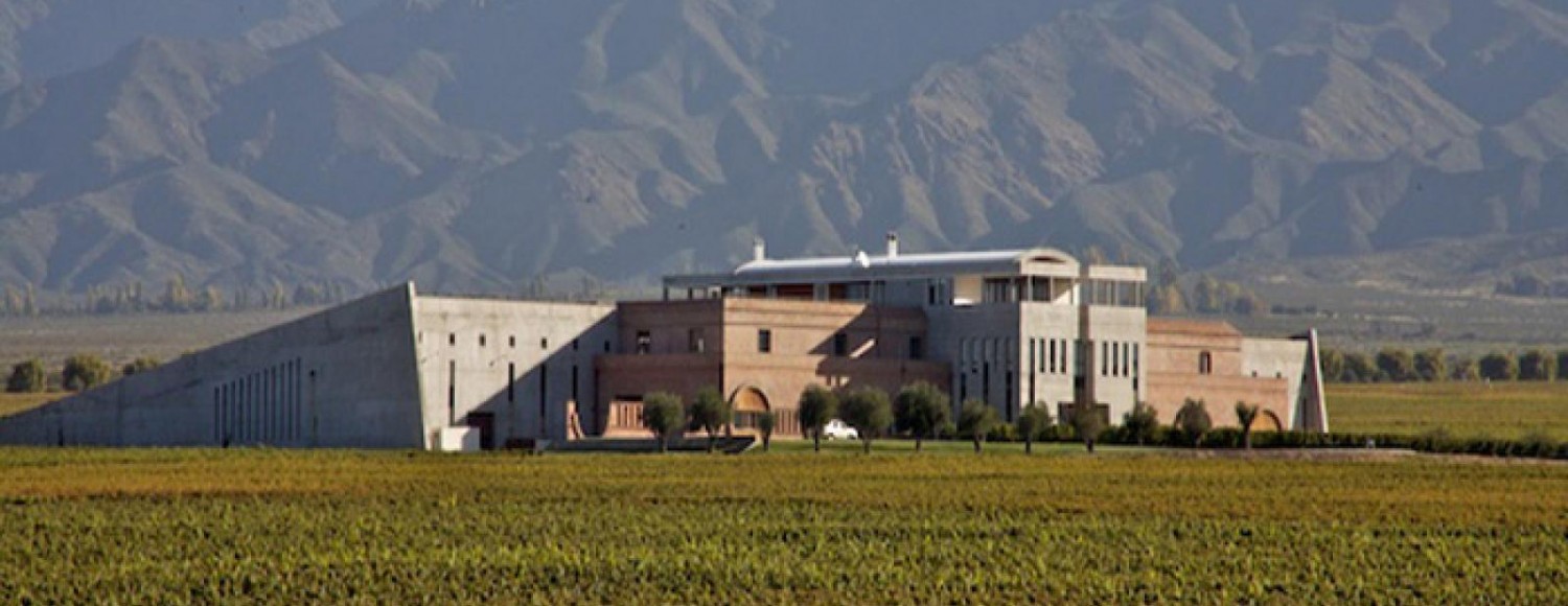 Mendoza Paisagens e Vinhos