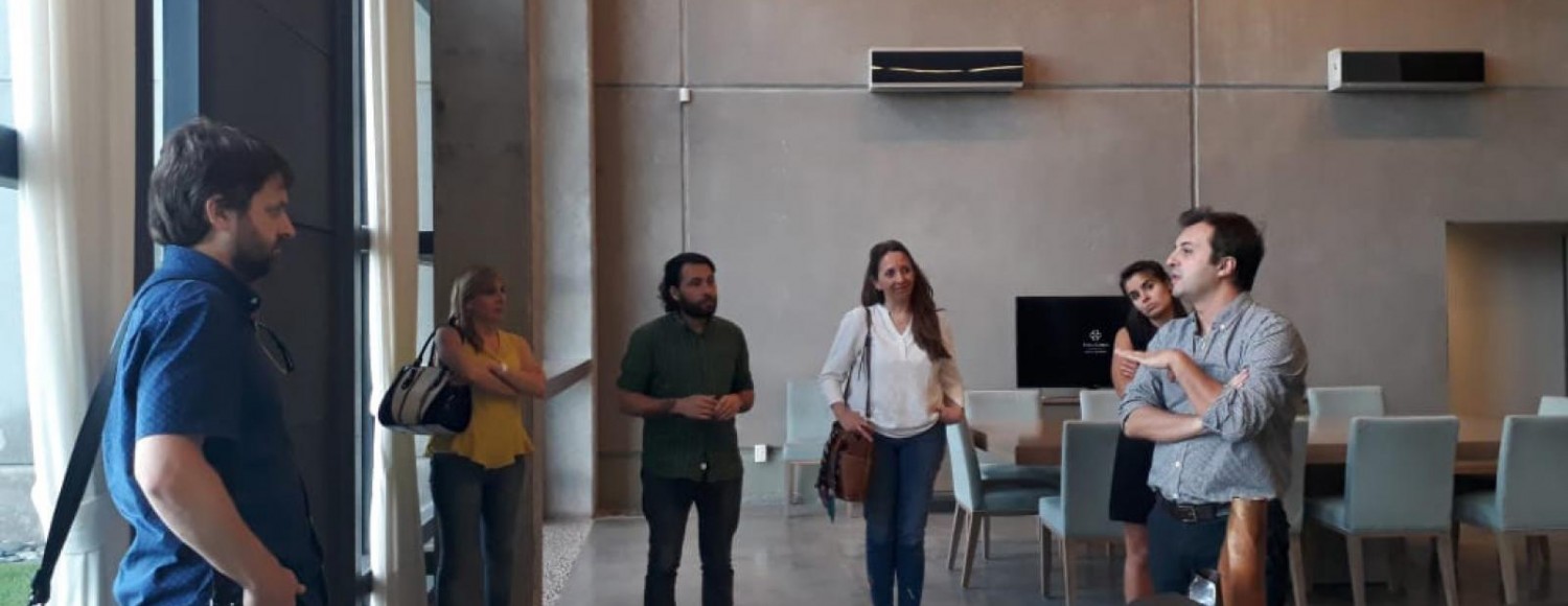 Mendoza Paisagens e Vinhos