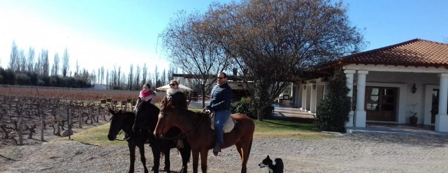 Mendoza Vinhos e Aventura