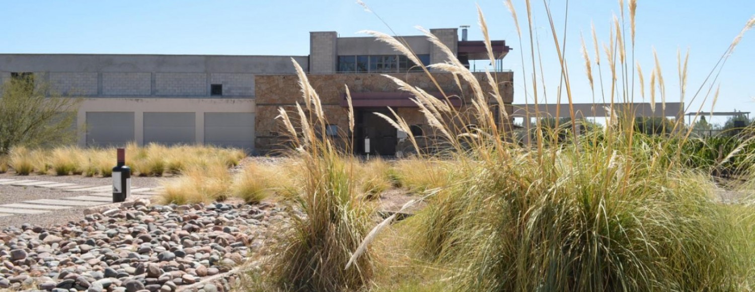 Mendoza Vinhos e Aventura