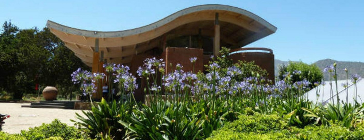 Vinícolas Emiliana & Casas del Bosque