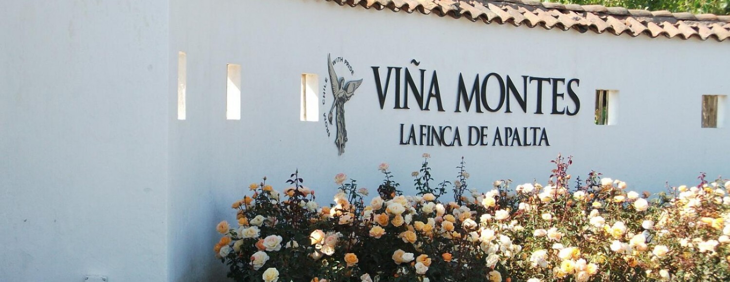 Vinícolas Montes & Lapostolle