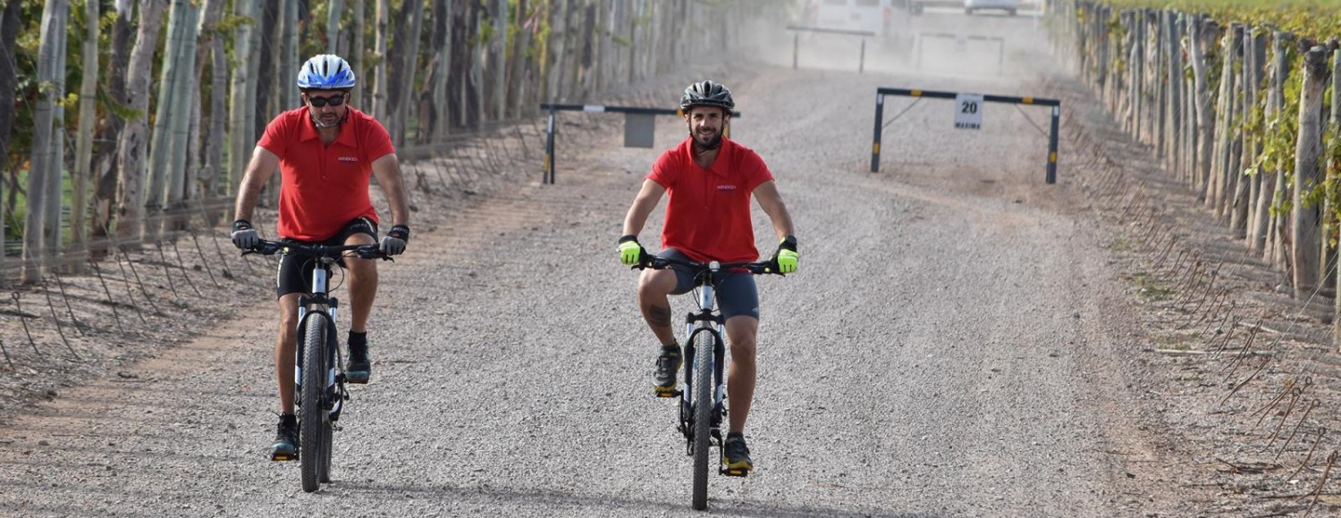 Bicicletas e Vinhos