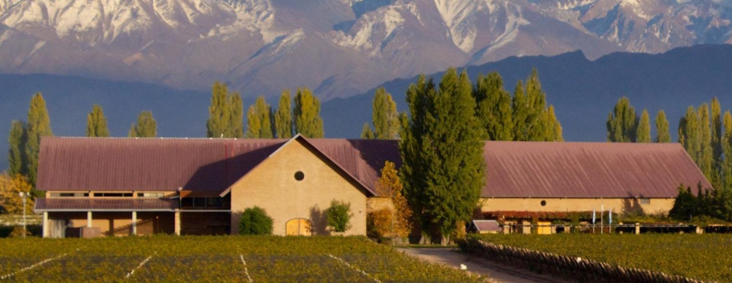  Luján de Cuyo Malbec