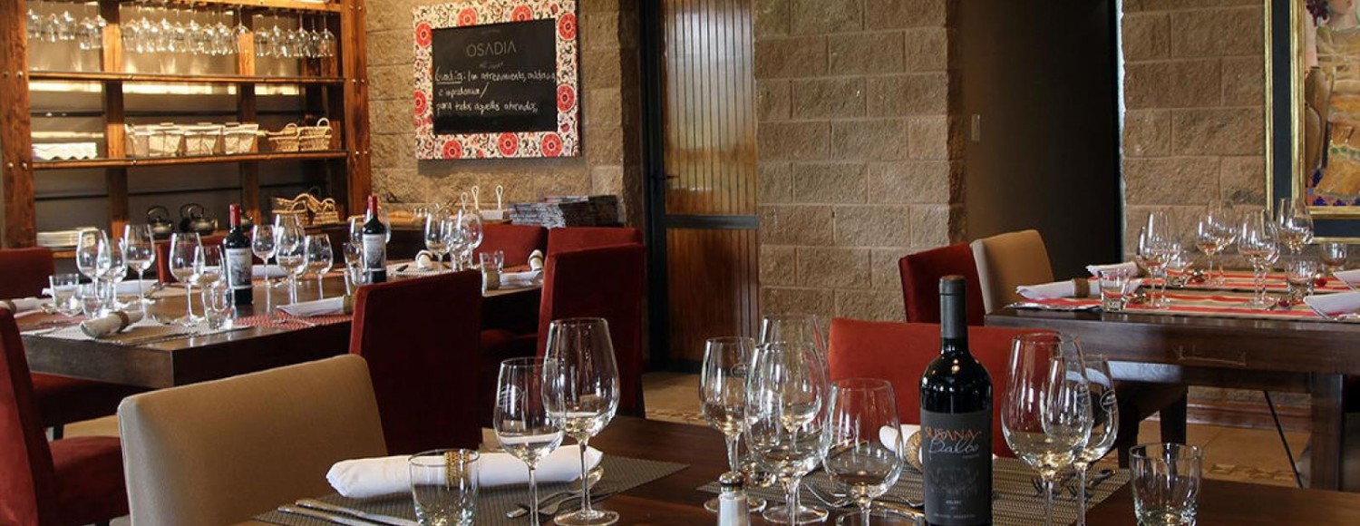  Luján de Cuyo Malbec