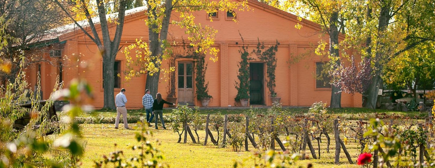 Provando os Sentidos