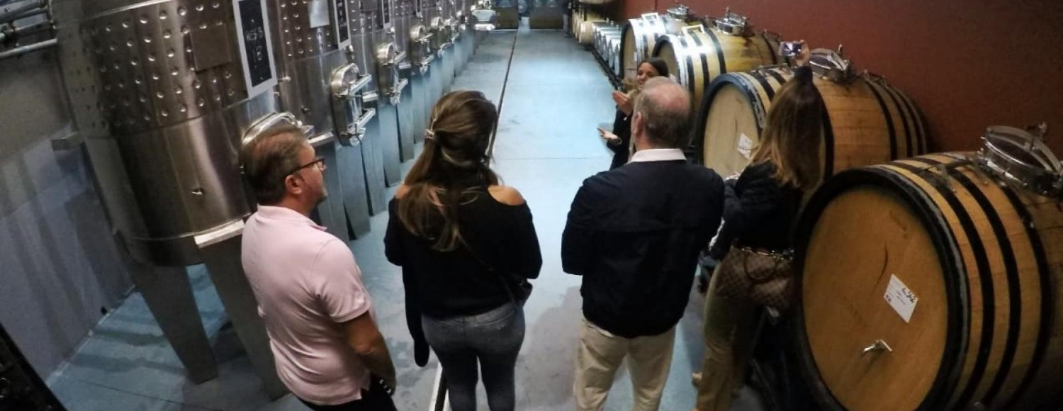 Provando os Sentidos