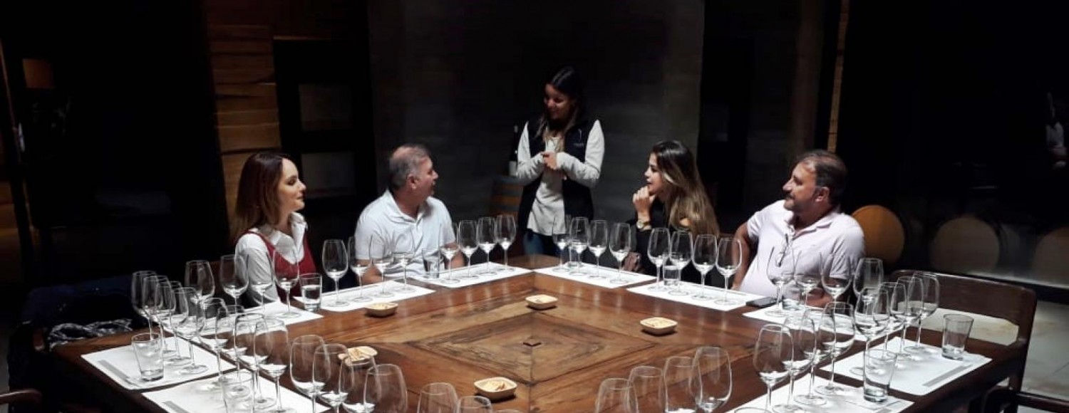 Provando os Sentidos