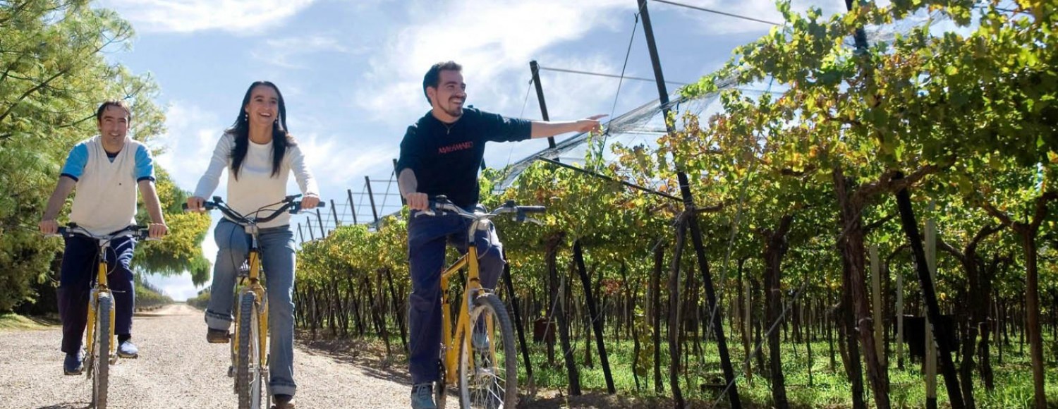 Bikes & Vinhos