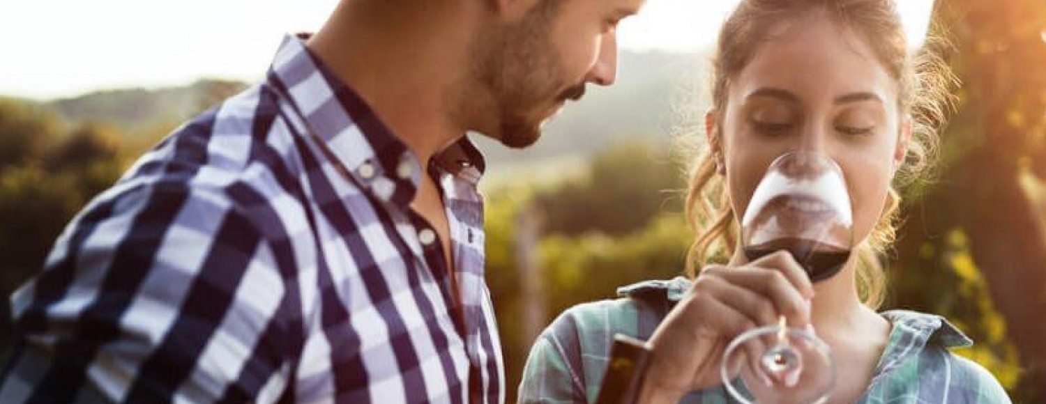 Tour de vinho de meio dia