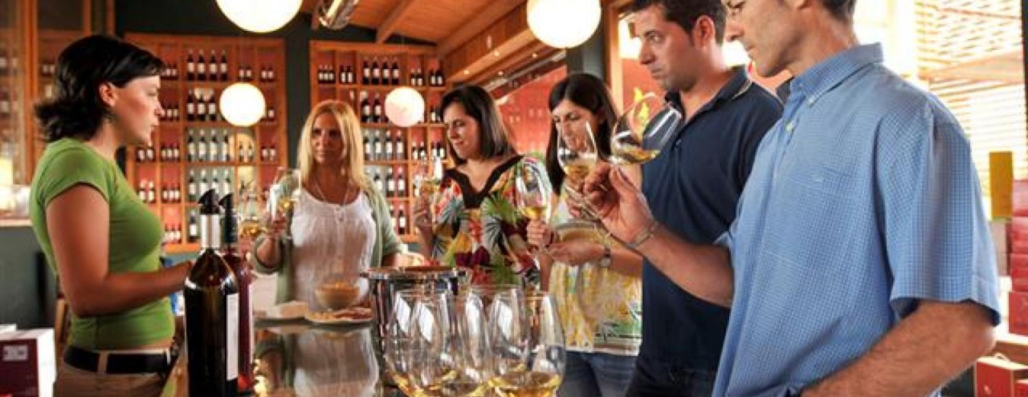 Tour de vinho de meio dia