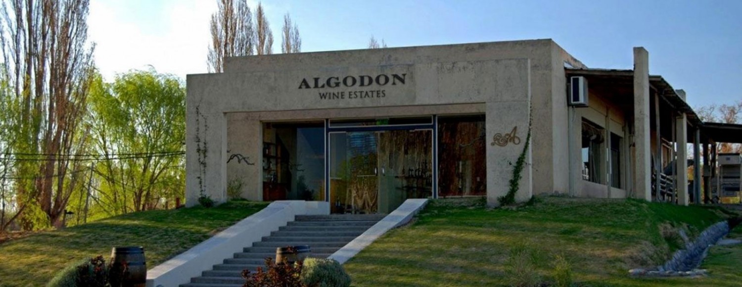 San Rafael Vitivínicola