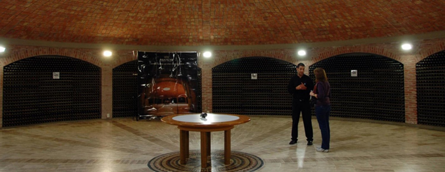 San Rafael Vitivínicola