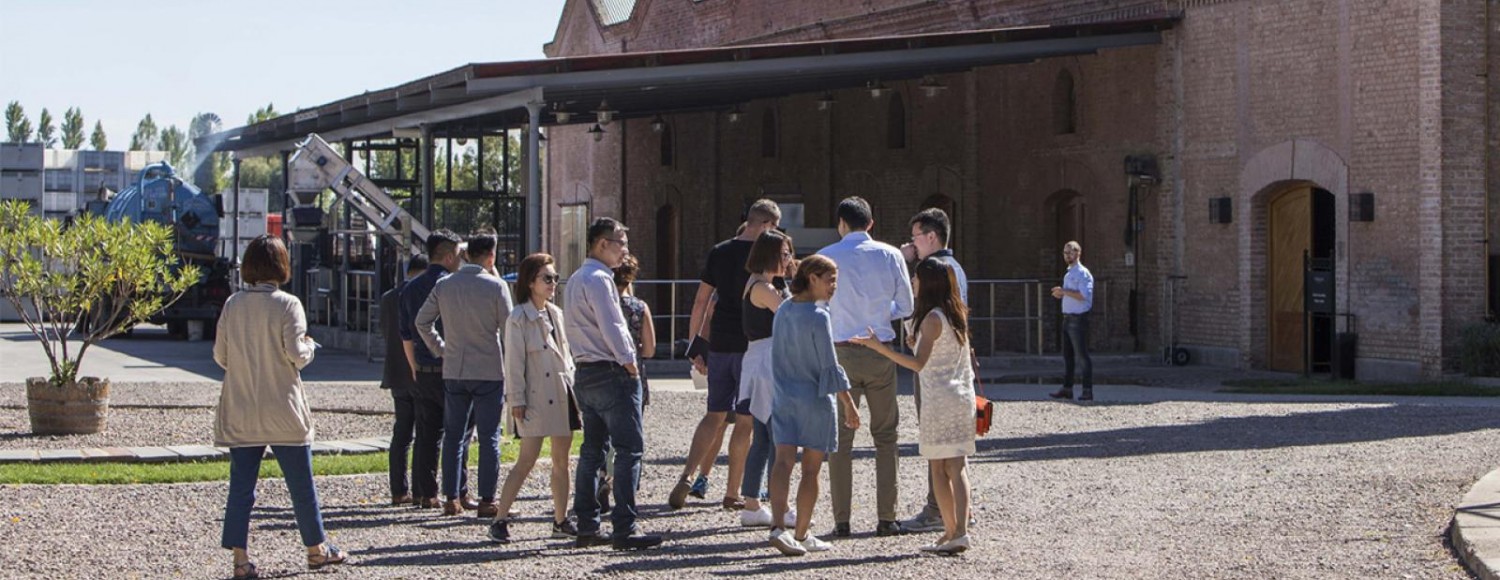 Luján de Cuyo Premium