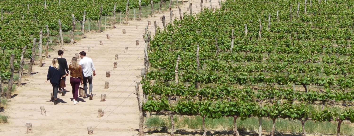 Luján de Cuyo Premium