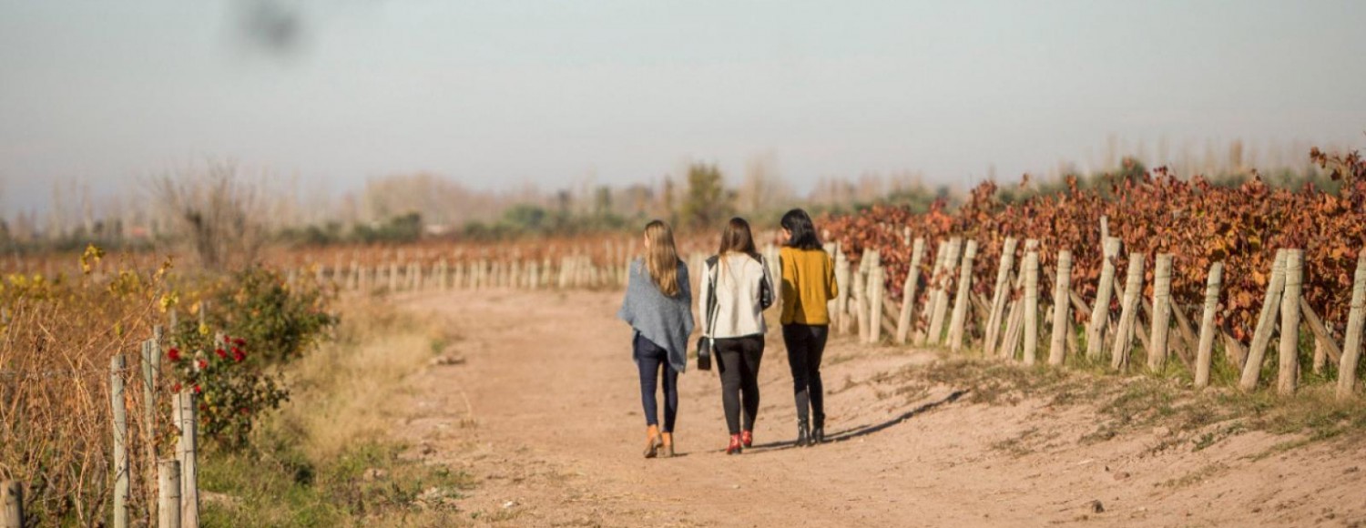 Luján de Cuyo Premium