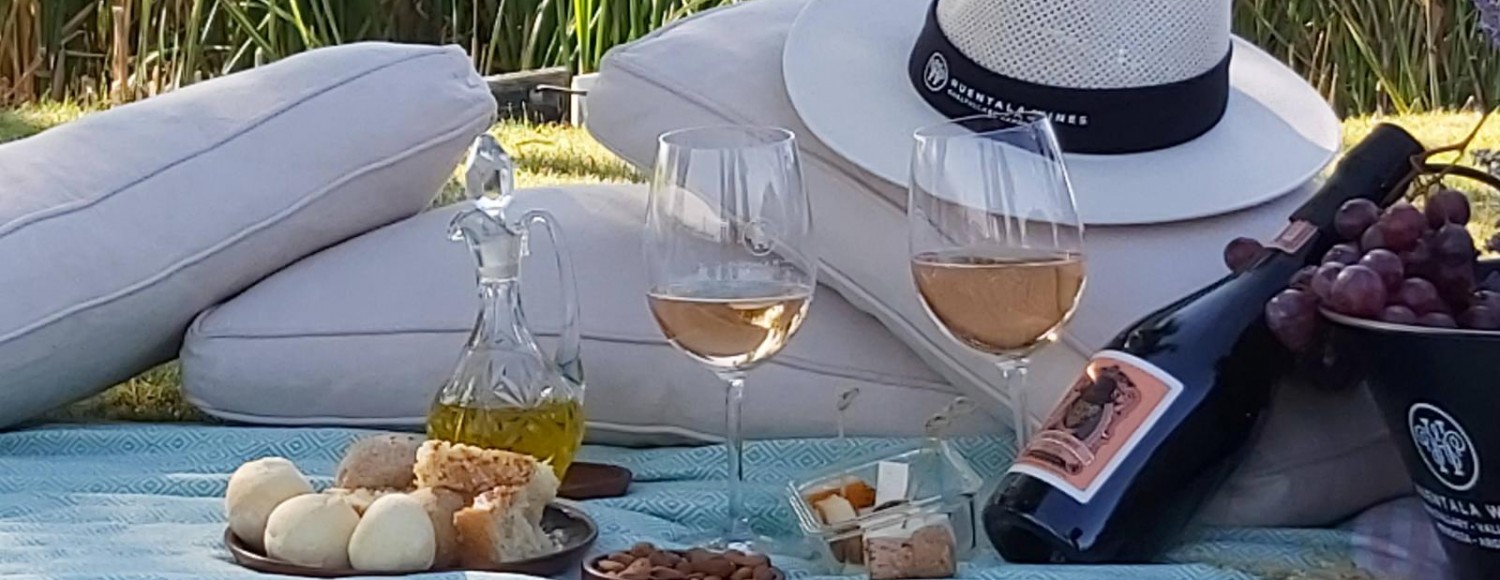 Pôr do Sol no Valle de Uco com Huentala Wines