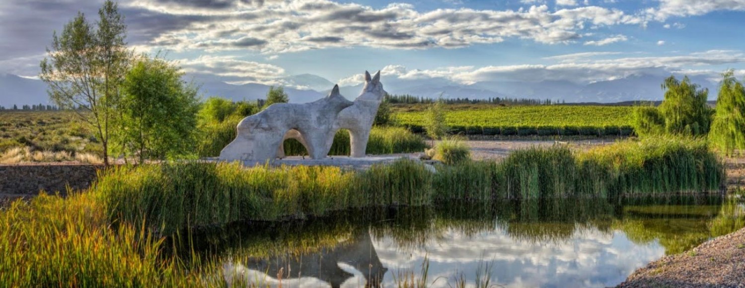 Boda em Huentala Wines