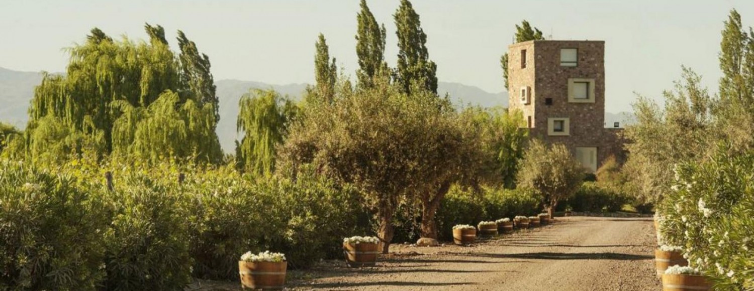 Boda na vinícola Renacer