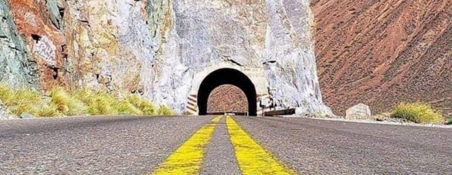 Vindima 2022 em Mendoza