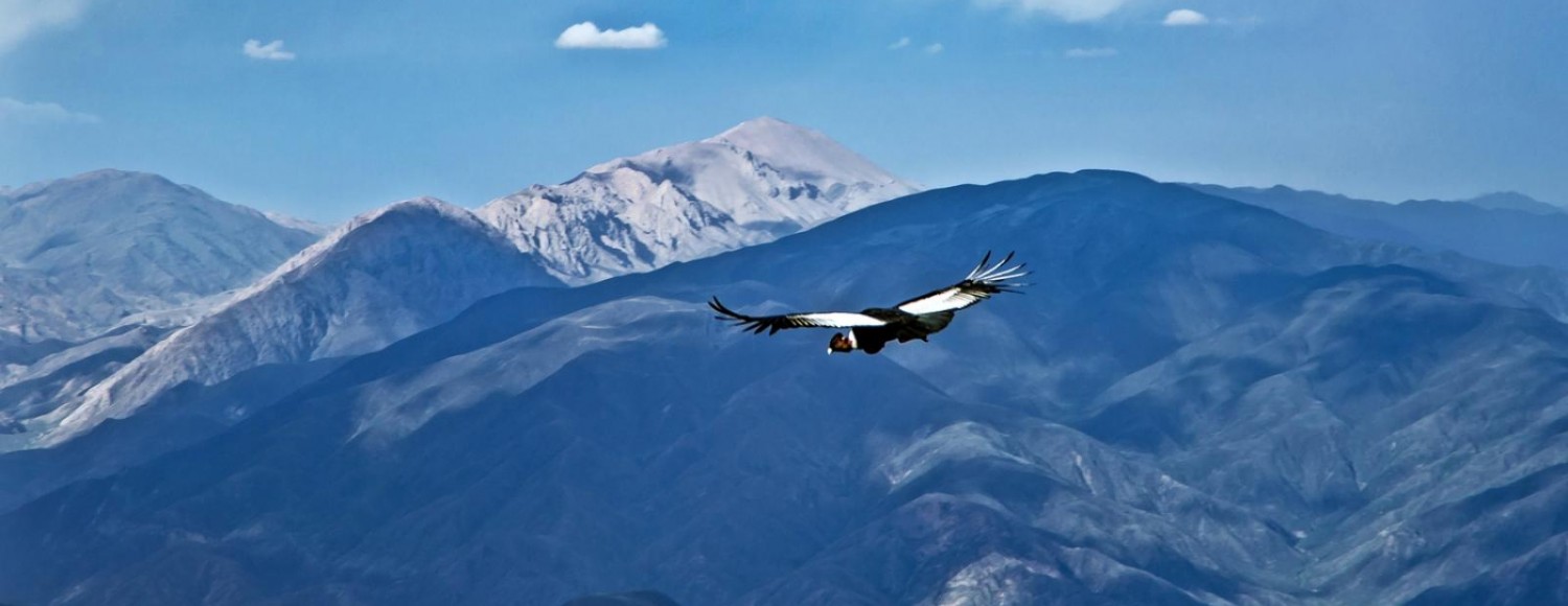Cavalgada Quebrada del Cóndor